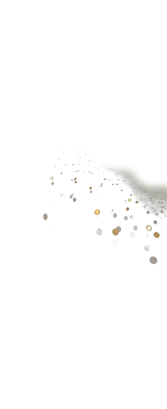 THE CROWN