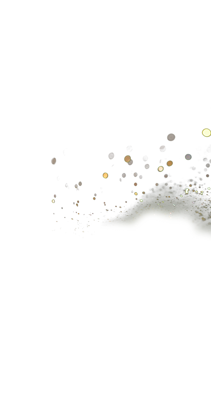 THE CROWN