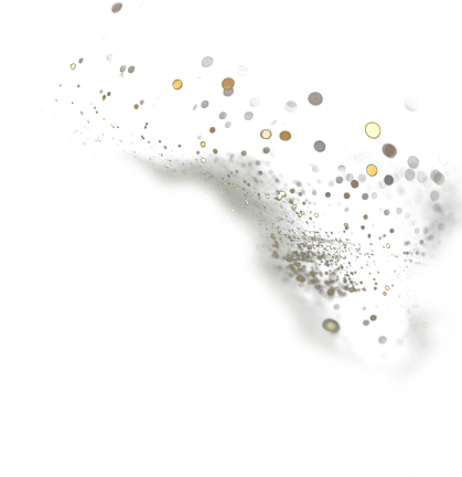 THE CROWN