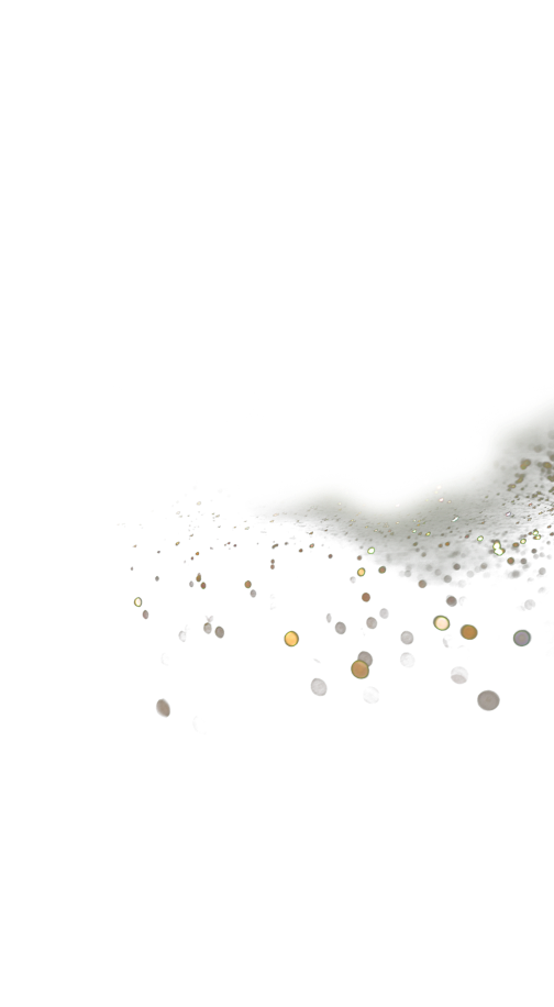 THE CROWN