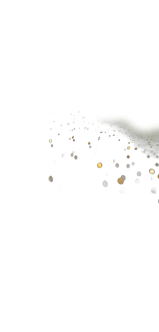 THE CROWN