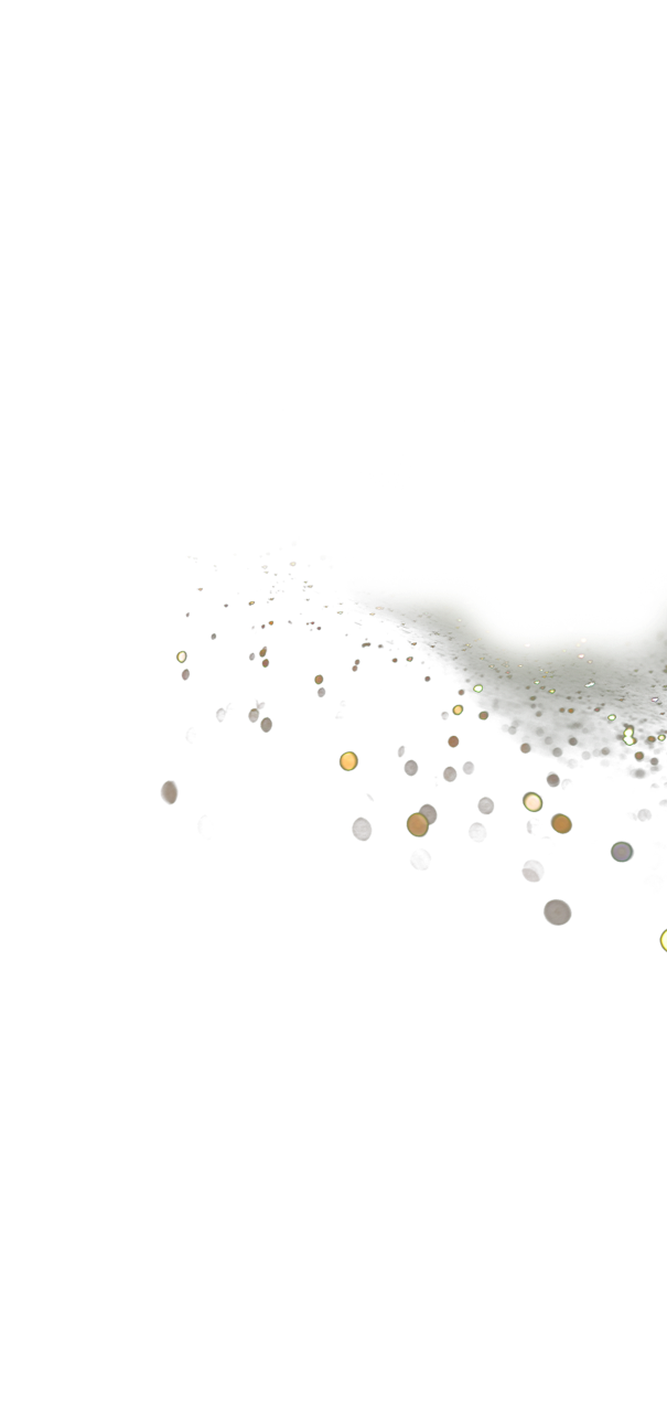 THE CROWN